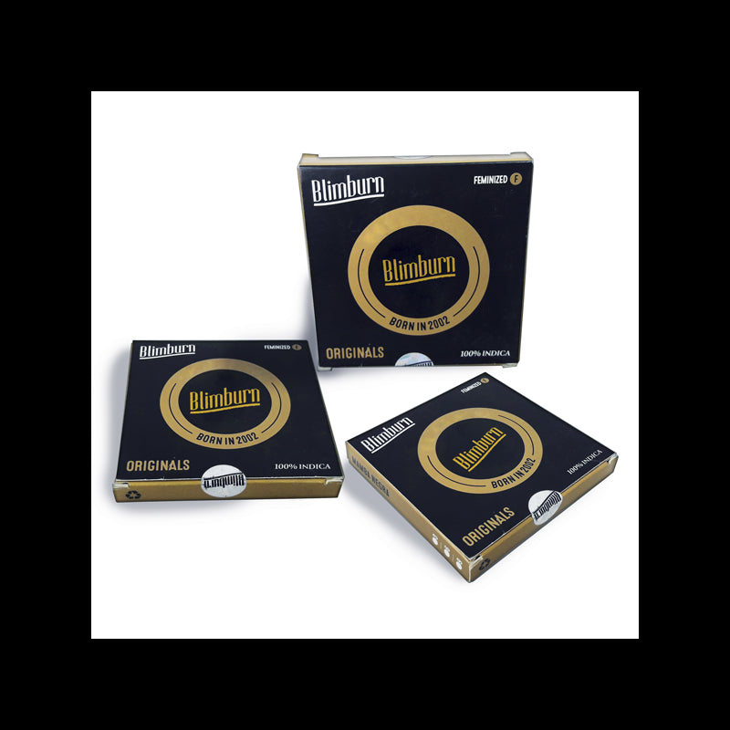Blimburn Auto Girl Scout Cookies (3uds)