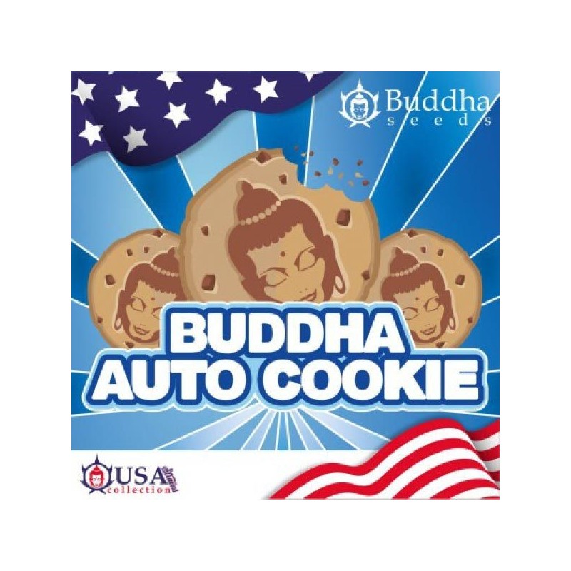 Buddha Seeds Auto Cookie (3uds)