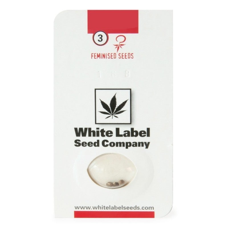 White Label Purple Bud Automatic (1+1)