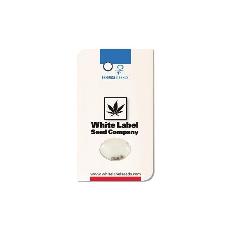 White Label Wedding Cake Fem (3+1)