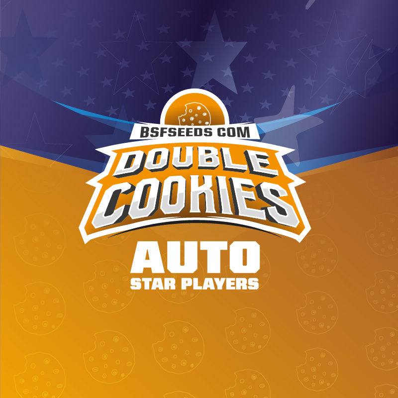 Star Player Double Cookies Auto X12 - BSF Seeds