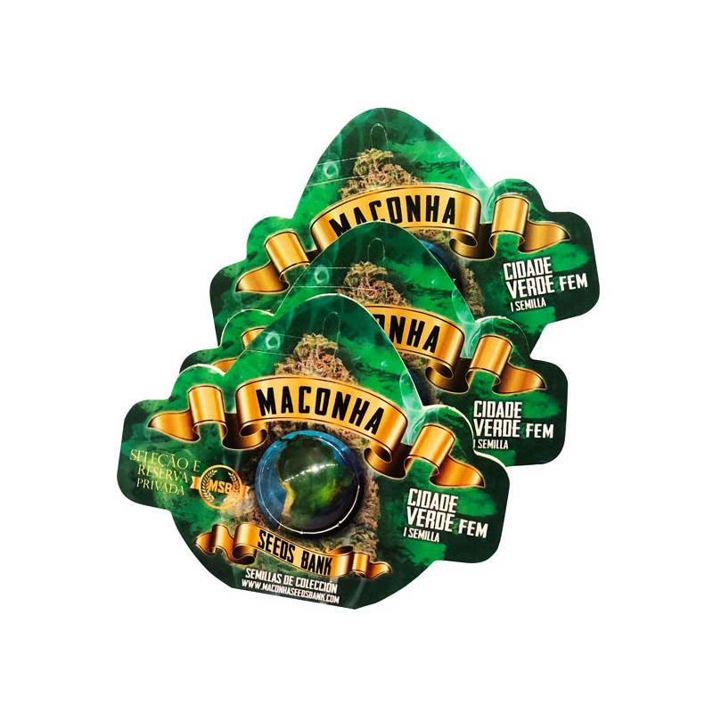 2x1 Maconha Seeds Roberta Close Regular (1ud)