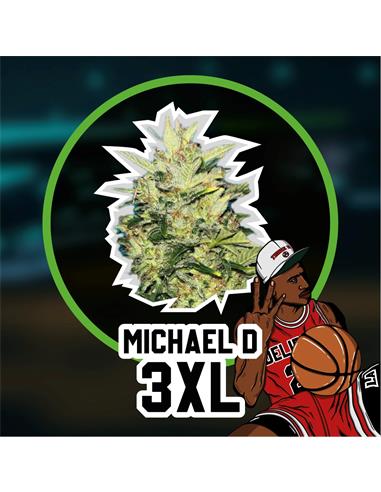 Michael D 3XL Auto x2 - Delirium seeds