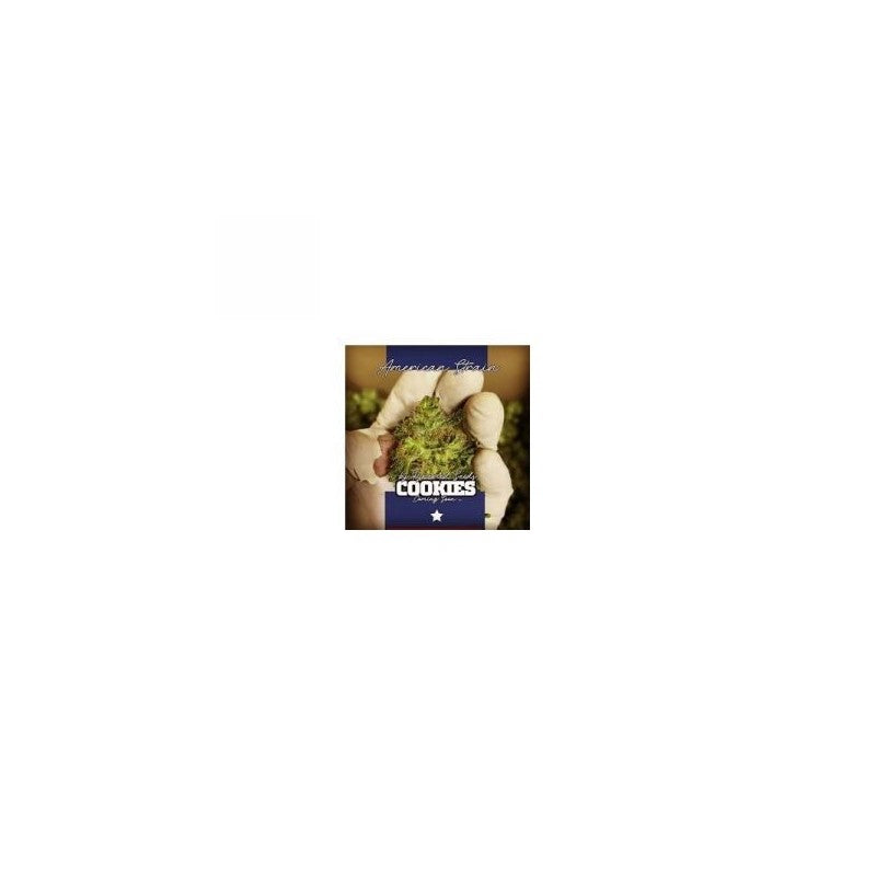 Pyramid Seeds Cookies USA (1ud)