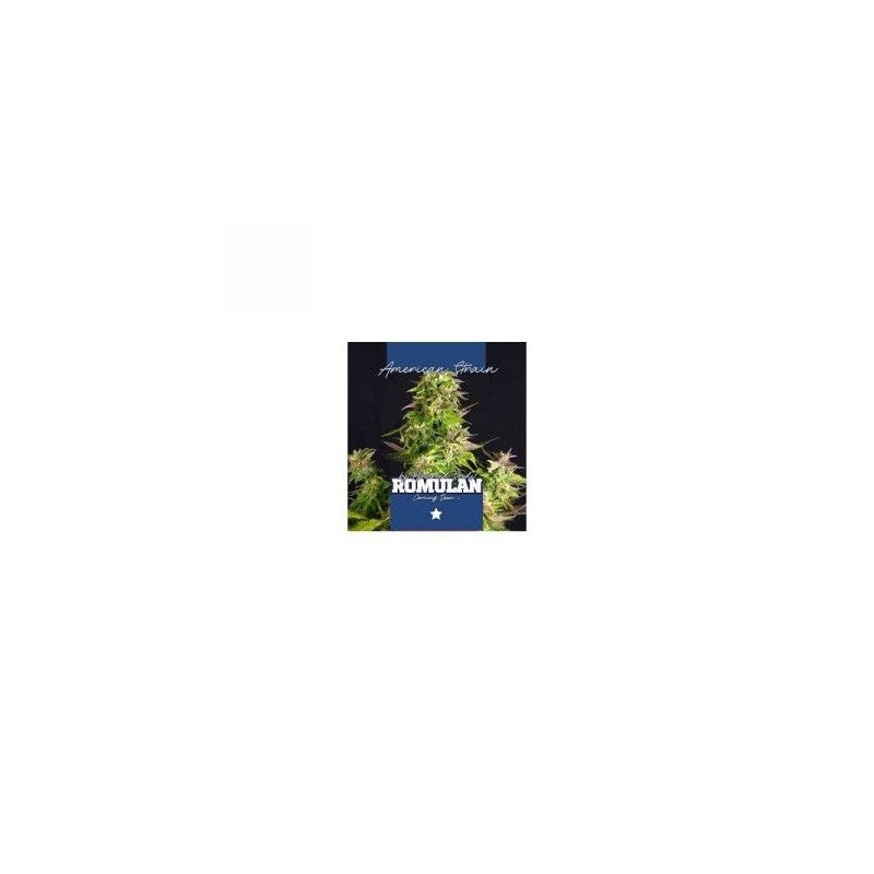 Pyramid Seeds Romulan (3uds)