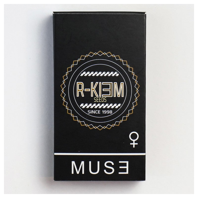 R-KIEM MUSE (1ud)