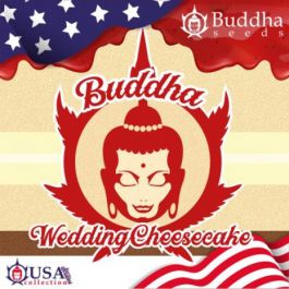 Buddha Wedding Cheesecake Fem x3 Buddha Seeds