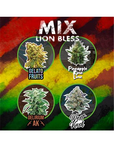 Mix Lion Bless x14 Auto - Delirium Seeds