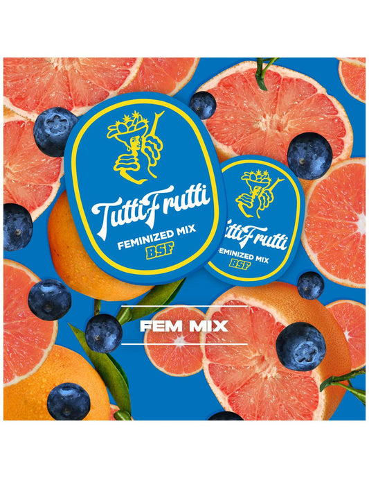 Tutti Frutti Feminized Mix X12 - Bsf Seeds