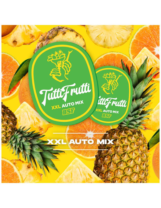 Tutti Frutti XXL Automix X12 - Bsf Seeds