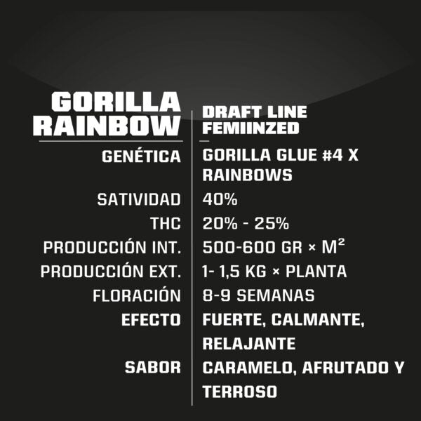 Gorilla Rainbows X12 - Bsf Seeds