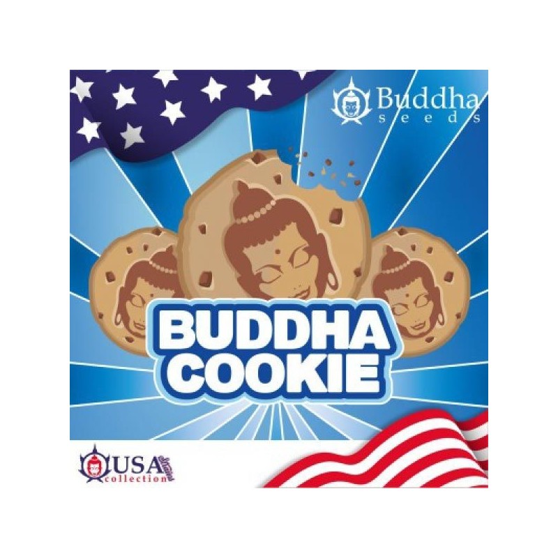 Buddha Seeds Buddha Cookie (3uds)