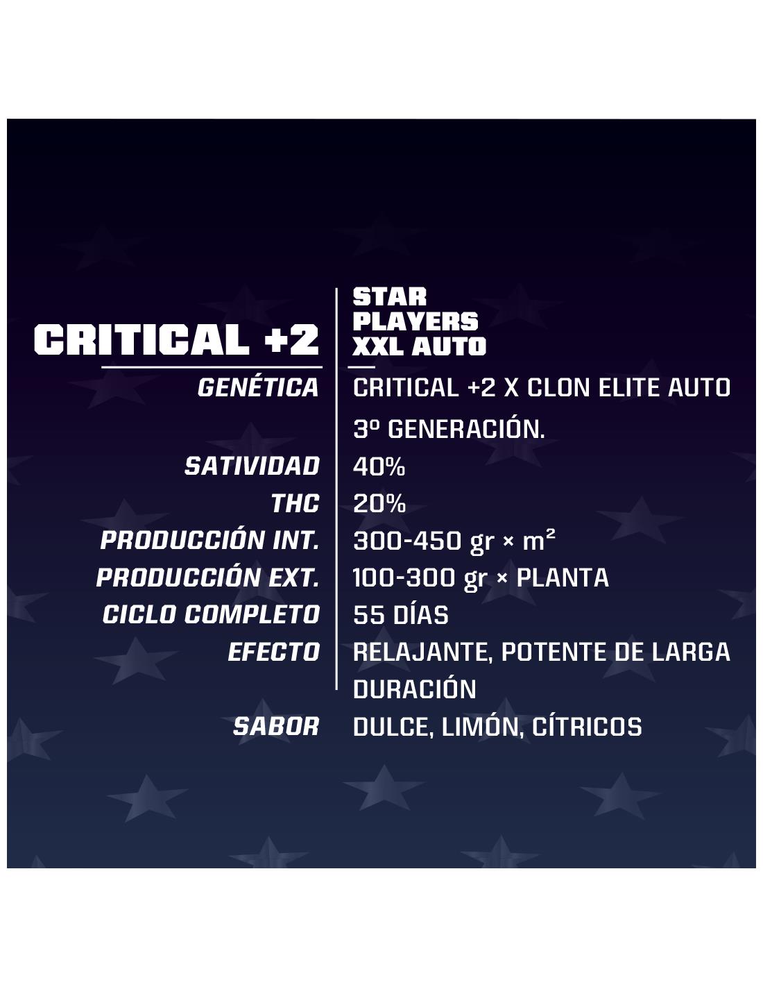 Critical XXL Auto +2 X12 - Bsf Seeds