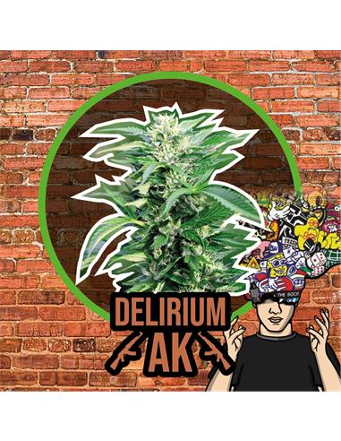 Delirium AK Auto x12 - Delirium seeds