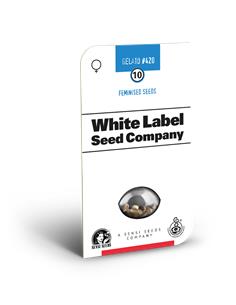 Gelato 420 Fem X3+1 - White Label By Sensi Seeds
