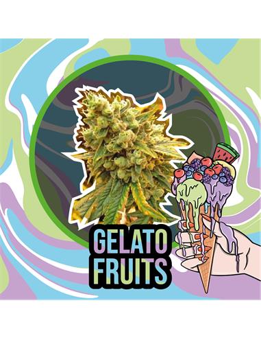 Gelato Fruits FEM x2 - Delirium seeds