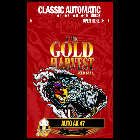 Gold Harvest Auto AK 47 (25uds)