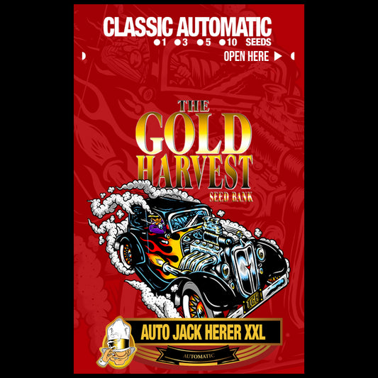 Gold Harvest Auto Jack Herer XXL (25uds)