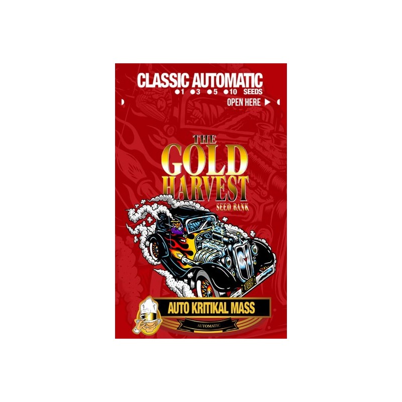 Gold Harvest Auto Kritikal Mass (10uds)