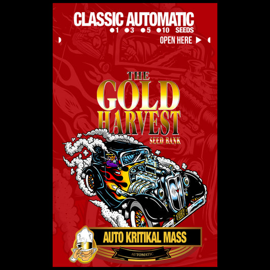 Gold Harvest Auto Kritikal Mass (25uds)