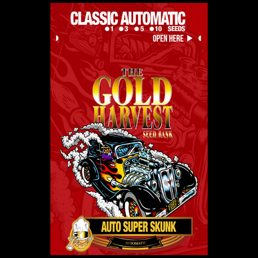 Gold Harvest Auto Super Skunk (25uds)
