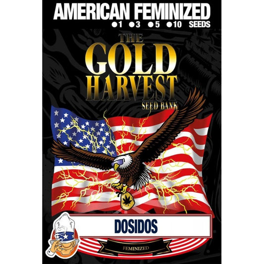 Gold Harvest Dosidos (10uds)