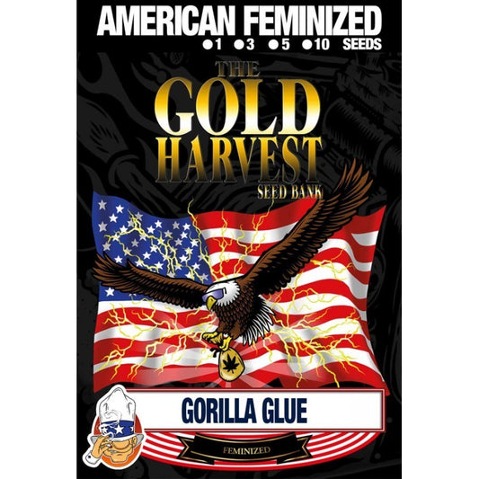 Gold Harvest Gorilla Glue (100uds)