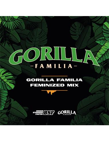 Mix Gorilla Familia GK X12 - Bsf Seeds
