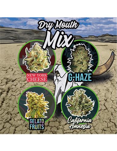 Mix Dry Mouth Line Auto x4 - Delirium seeds