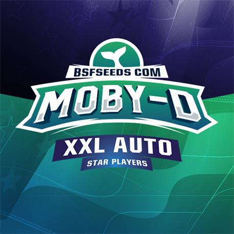 Moby-D XXL Auto X12 - BSF Seeds