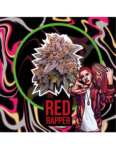 Red Rapper Auto x2 - Delirium seeds