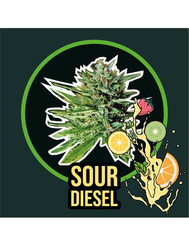 Sour Diesel x1 FV - Delirium Seeds