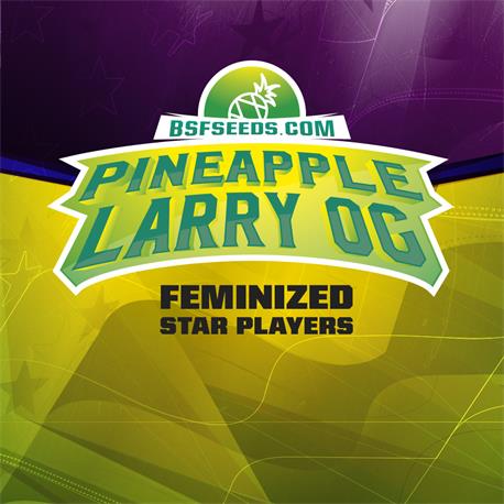 STAR PLAYER Pineapple Larry OG X4 - BSF SEEDS