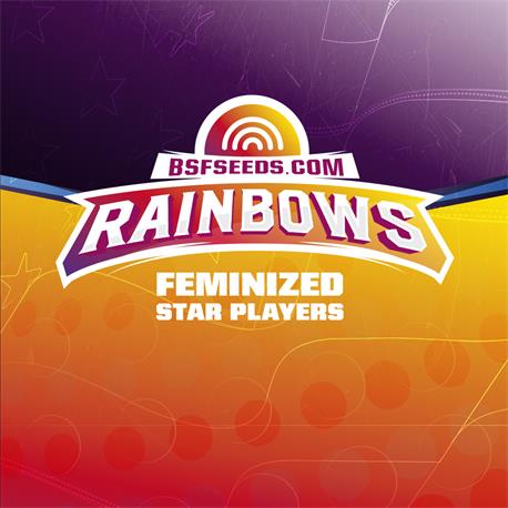 STAR PLAYER Rainbows X12 - BSF SEEDS