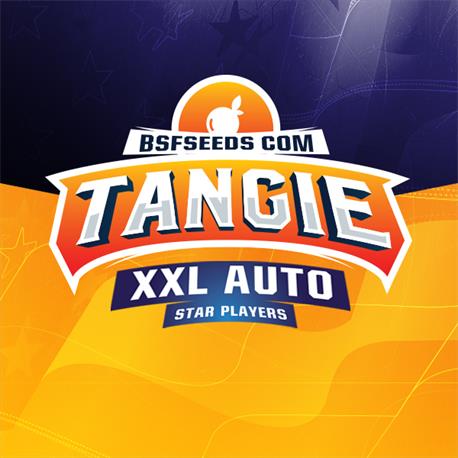 Tangie Auto XXL X12 - BSF Seeds
