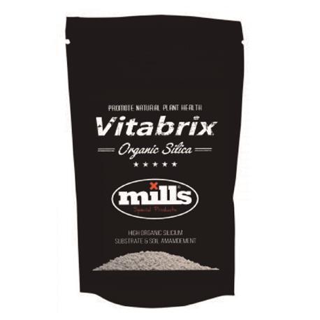 Vitabrix (Silicio) 300 gr - Mills