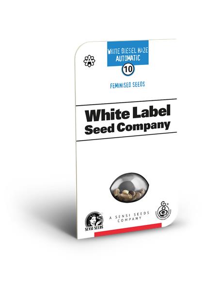 White Diesel Haze Auto X3+1 - White Label By Sensi Seeds